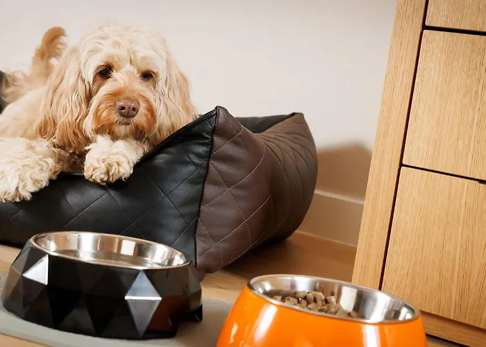 Bio-hotel Orange Φραγκφούρτη