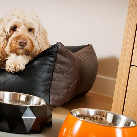 Bio-hotel Orange Frankfurt am Main